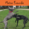 Meine Freunde